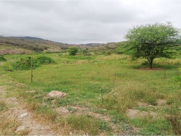 terreno agrícola urbano de venta charapoto Manabí
