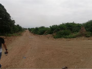terreno agrícola urbano de venta charapoto Manabí