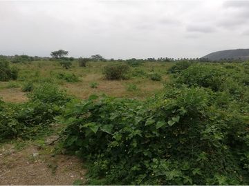 terreno agrícola urbano de venta charapoto Manabí