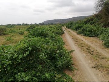 terreno agrícola urbano de venta charapoto Manabí