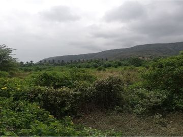 terreno agrícola urbano de venta charapoto Manabí