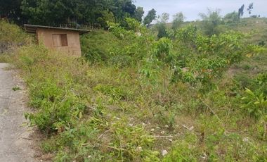 Most Affordable 100 Sqm Ready for Building Lot for Sale in Consolacion, Cebu