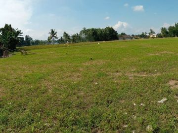 Tanah Kavling Siap Bangun kampus dreamland jember