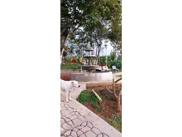 FINCA AMOBLADA CON 3 RESIDENCIAS Y OPCIONES DE ESPARCIMIENTO