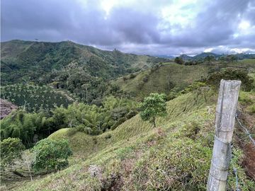 VENTA DE FINCA EN VEREDA PARAMILLO, FRESNO, TOLIMA