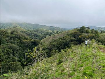 VENTA DE FINCA EN VEREDA PARAMILLO, FRESNO, TOLIMA