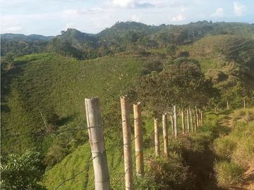 VENTA DE FINCA EN VEREDA PARAMILLO, FRESNO, TOLIMA