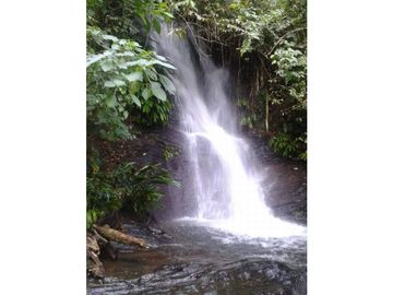 VENTA DE FINCA EN VEREDA PARAMILLO, FRESNO, TOLIMA