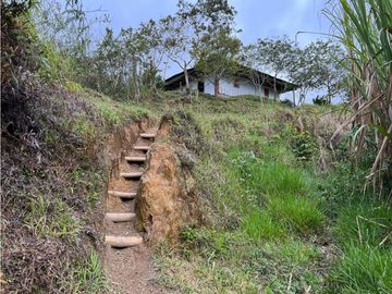 VENTA DE FINCA EN VEREDA PARAMILLO, FRESNO, TOLIMA