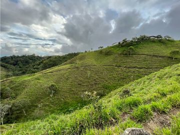 VENTA DE FINCA EN VEREDA PARAMILLO, FRESNO, TOLIMA