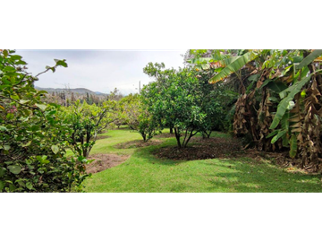 FINCA EN SANTIAGO DEL REY IMBABURA CON ABUNDANTE AGUA AN