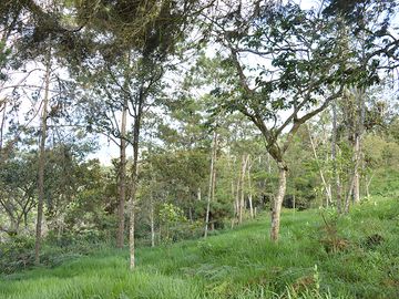 lote en venta en corregimiento montaÑitas. Cod V6646