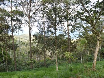 lote en venta en corregimiento montaÑitas. Cod V6646