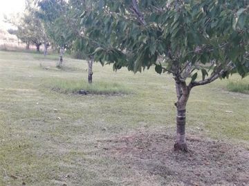 Casa quinta ELCASAL- 17.800 m2