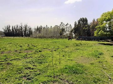 Casa quinta ELCASAL- 17.800 m2
