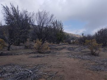 Parcela en Venta en Entre Tiltil camino Caleu