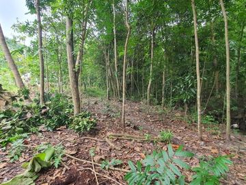 Tanah Kapling Bantul; Mutiara Kasihan 1 jt-an /m2