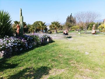 Parcela en Venta en QUEBRADA DE TALCA km 25 VALLE DEL ELQUI