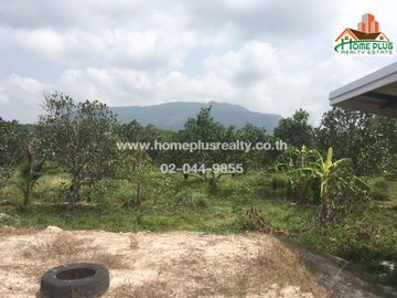 ที่ดินสวนผลไม้ 2 แปลง พร้อมบ้านน็อคดาวน์ อำเภอเมืองระยอง