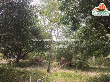 ที่ดินสวนผลไม้ 2 แปลง พร้อมบ้านน็อคดาวน์ อำเภอเมืองระยอง