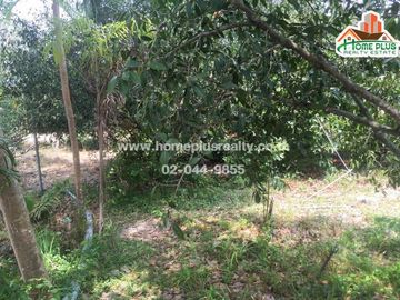 ที่ดินสวนผลไม้ 2 แปลง พร้อมบ้านน็อคดาวน์ อำเภอเมืองระยอง