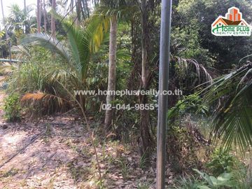 ที่ดินสวนผลไม้ 2 แปลง พร้อมบ้านน็อคดาวน์ อำเภอเมืองระยอง