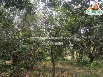 ที่ดินสวนผลไม้ 2 แปลง พร้อมบ้านน็อคดาวน์ อำเภอเมืองระยอง