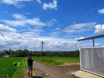 Rumah Murah Hanya di jember, 190jt LT 100 LB 42