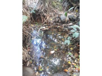 Se Vende Finca en Gualaca, 4.3 has