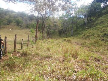 Se Vende Finca en Gualaca, 4.3 has