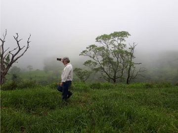 Se Vende Finca en Gualaca, 4.3 has