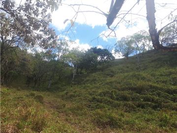 Se Vende Finca en Gualaca, 4.3 has