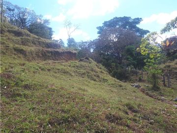 Se Vende Finca en Gualaca, 4.3 has