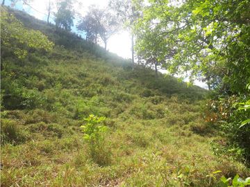 Se Vende Finca en Gualaca, 4.3 has