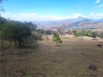 Se Vende Finca en Gualaca, 4.3 has