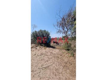 ¡OPORTUNIDAD ÚNICA! 

¿Estás buscando el lugar perfecto para tu próximo proyecto en Monsefú, Chiclayo? ¡No busques más!

Presentamos un terreno ur