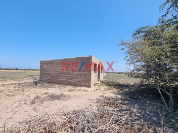 ¡OPORTUNIDAD ÚNICA! 

¿Estás buscando el lugar perfecto para tu próximo proyecto en Monsefú, Chiclayo? ¡No busques más!

Presentamos un terreno ur