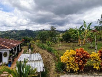 finca en venta en borrero ayerbe. Cod V15571