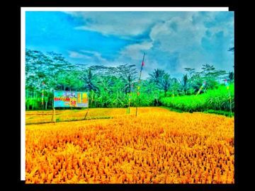 Tanah Kavling Aji Regency