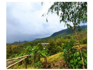 80 Jutaan Tanah Kapling Area Cicalengka