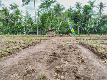 Jual Tanah siap bangun Lokasi dekat Jalan raya talangagung