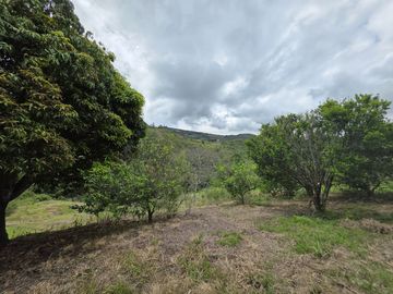 VENTA LOTE VÍA LA CUMBRE EN SANTA INES. Cod V8611