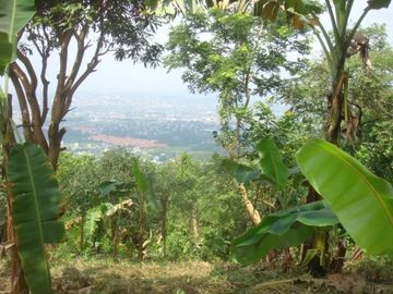 For sale: 3.49 Hectare Farm in San Mateo, Rizal