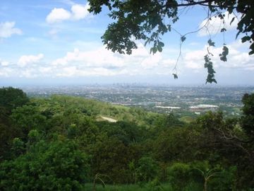For sale: 3.49 Hectare Farm in San Mateo, Rizal