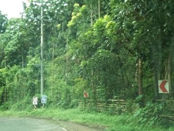 For sale: 3.49 Hectare Farm in San Mateo, Rizal