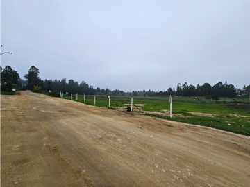 PLACILLA DE PEÑUELAS / MARTINEZ CRUZ / SITIOS URBANOS 1.000 M2