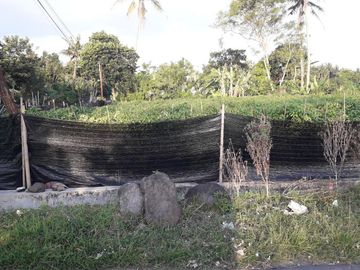 Tanah pinggir jl aspal cocok buat usaha dekat GKBI Trimulyo Sleman Yogyakarta