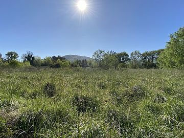 MELIPILLA - PUANGUE