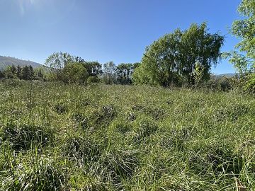 MELIPILLA - PUANGUE