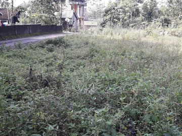 kost dekat kampus UII Candiwinangun Ngaglik Sleman Yogyakarta
